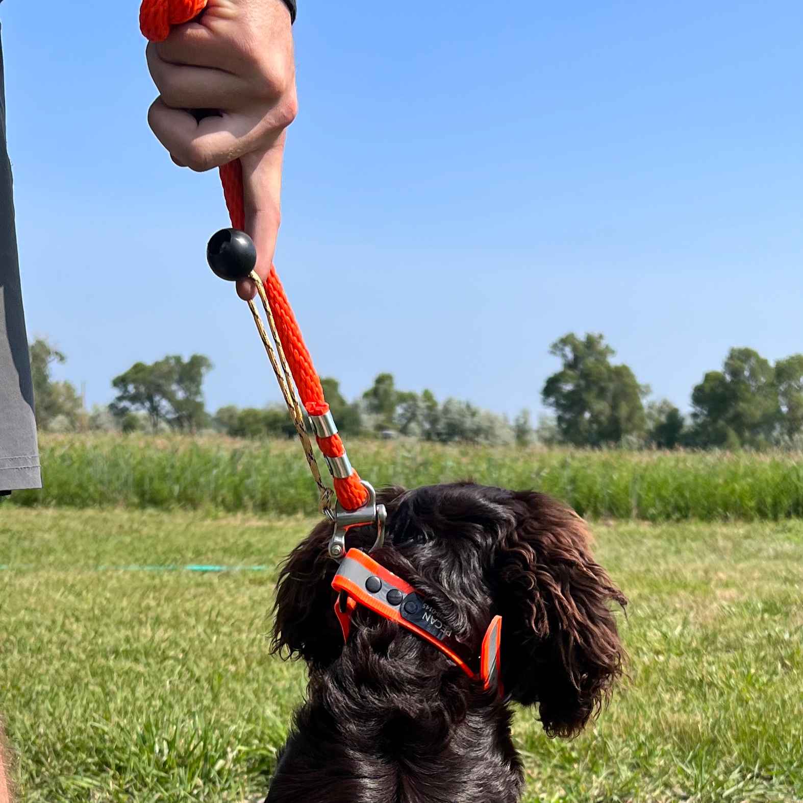 GDO Quick-Release Check Cord